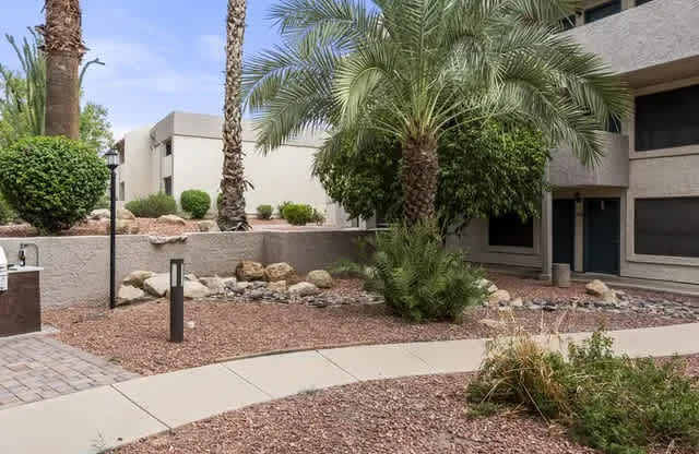 A landscaped area with a variety of plants and rocks in front of a building.