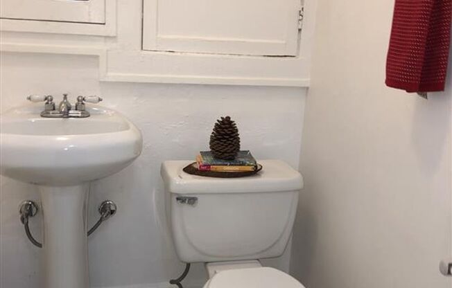 Studio, 1 bath, 426 sqft, $1,229, Unit 111