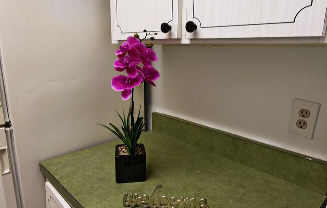 2 beds, 1 bath, $1,675