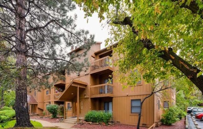 1-Bedroom condo in popular Gold Run available for Summer 2025 Preleasing!