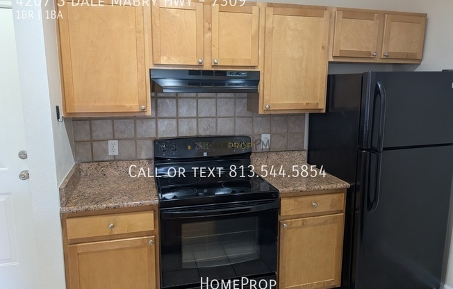 4207 S DALE MABRY HIGHWAY