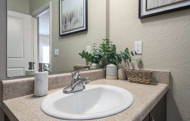A white sink is on a counter with a mirror above it.