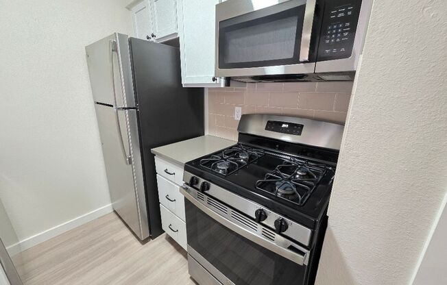 1 bed, 1 bath, 700 sqft, $1,096, Unit ELP2202-244