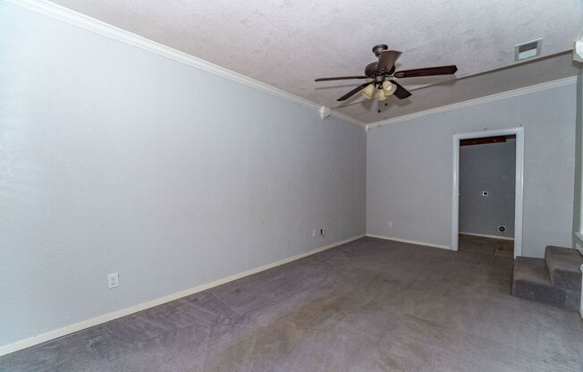 2 beds, 1 bath, $1,595