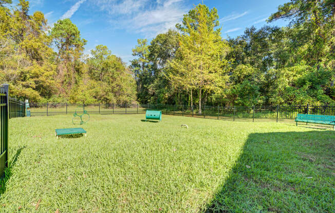 Chelsea Apartments in Gainesville Florida photo of leash-free dog park