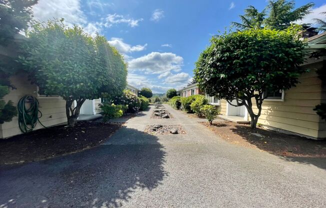 Stunning Two-bedroom In SW Portland~ Great Natural Light~ Two Wood Burning Fireplaces~ Covered Carport with Electric Opener~ Serene Outdoor Patio~ Fur Babies Welcome