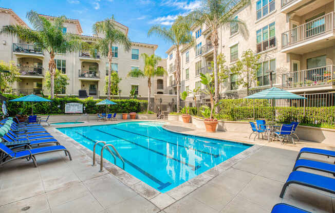 Swimming Pool and Tanning Deck at Windsor Lofts at Universal City