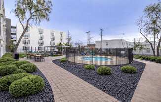 A black and white garden with a pool and a building in the background.