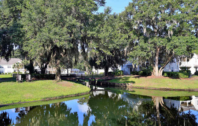 A pond in a park with a tree with hanging moss.