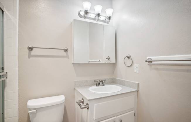 a bathroom with a sink and a toilet and a mirror