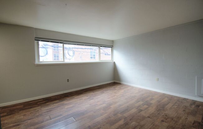 1 bed, 1 bath, 393 sqft, $1,395, Unit 312
