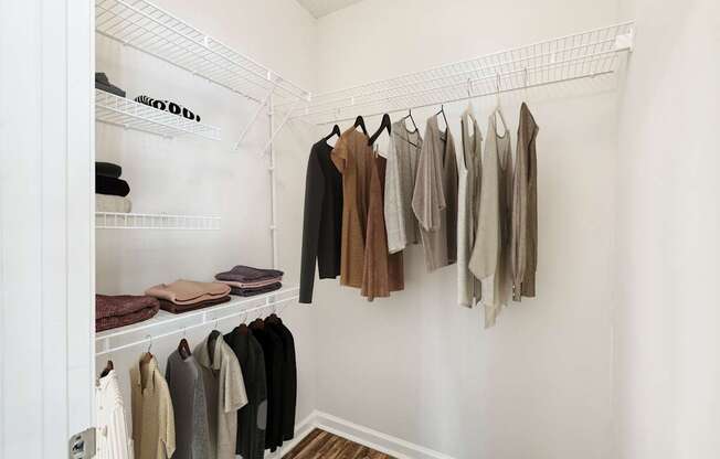 Organization Made Effortless