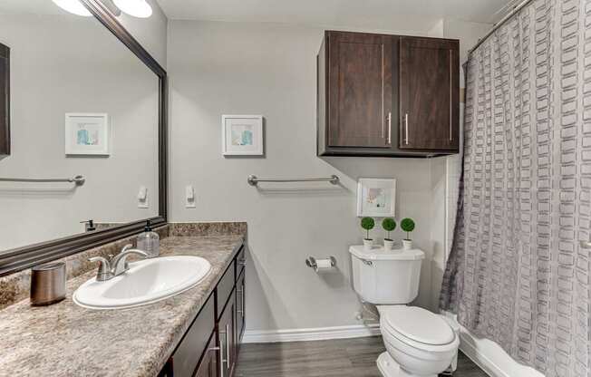 A bathroom with a sink, toilet, and shower.