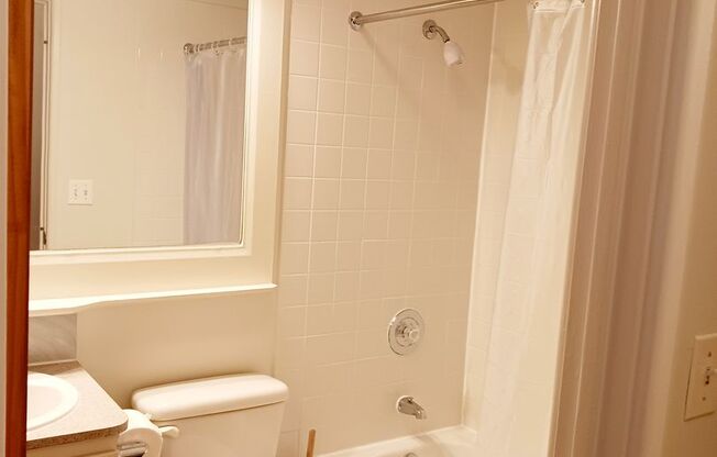 Studio, 1 bath, 332 sqft, $1,400, Unit 311