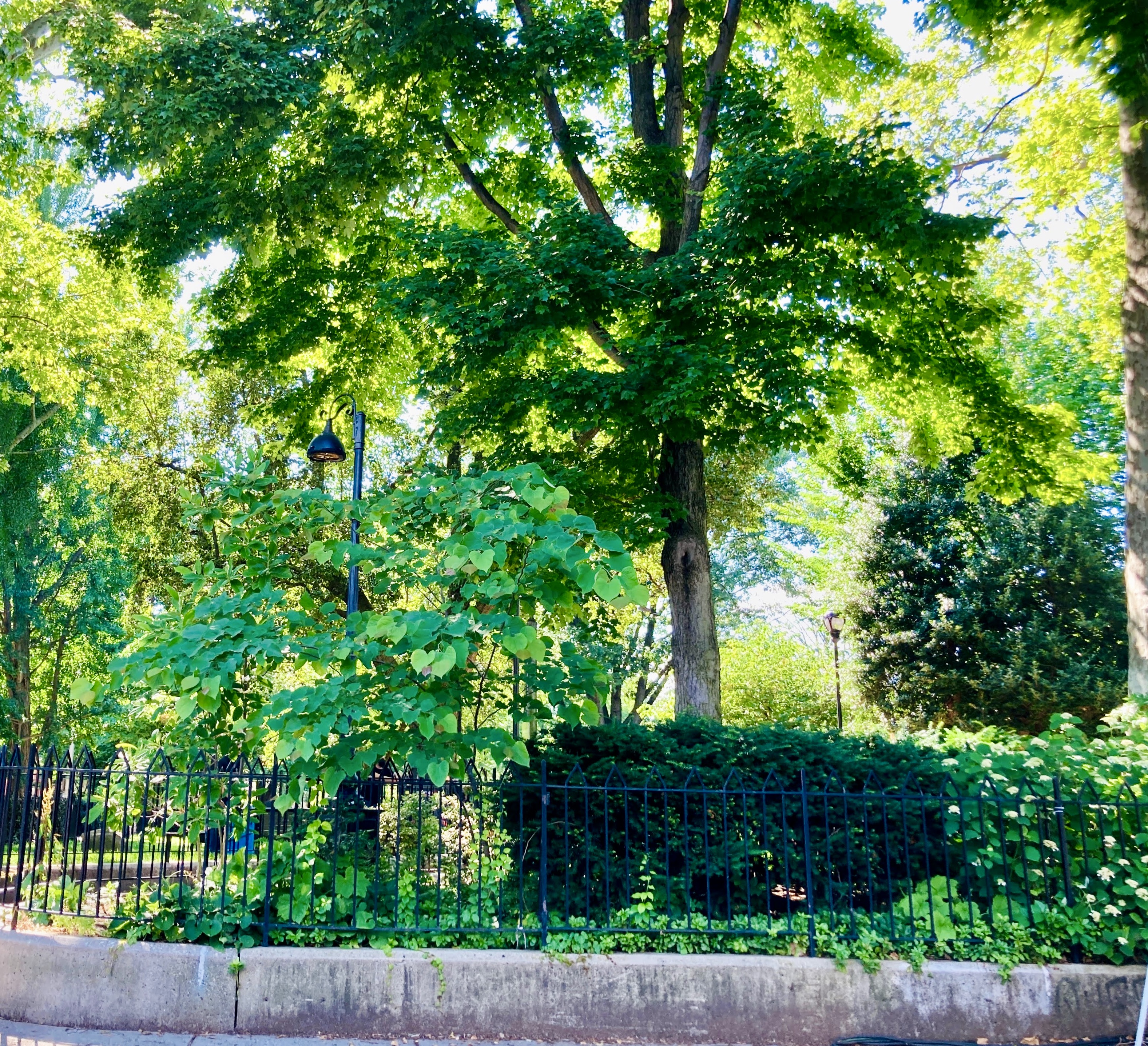 Fitler Square Park