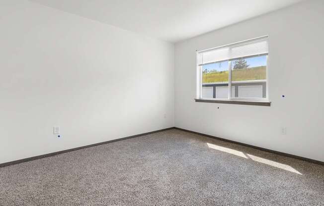 A room with a carpeted floor and a window showing a grassy field outside.