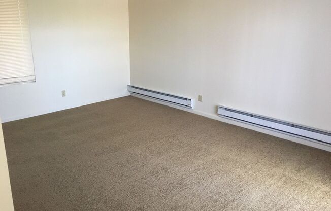 1 bed, 1 bath, $1,125