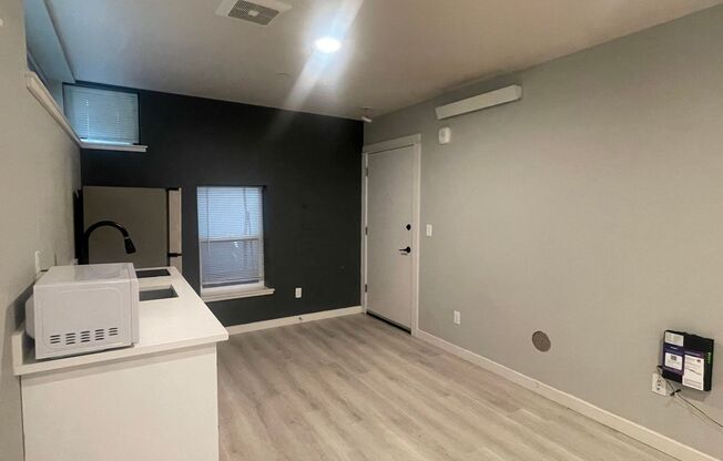 Studio, 1 bath, 250 sqft, $1,095, Unit 102