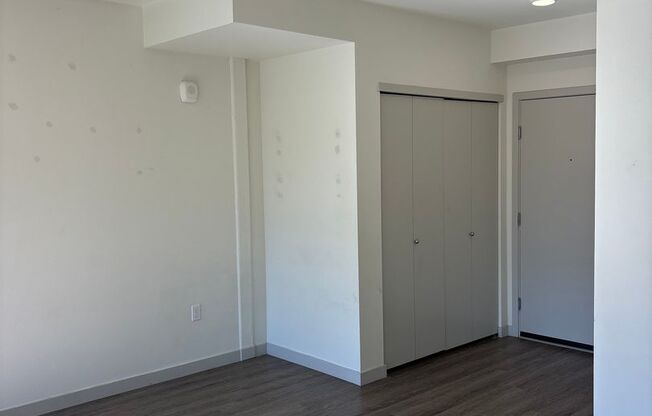 Studio, 1 bath, 306 sqft, $1,200, Unit 207