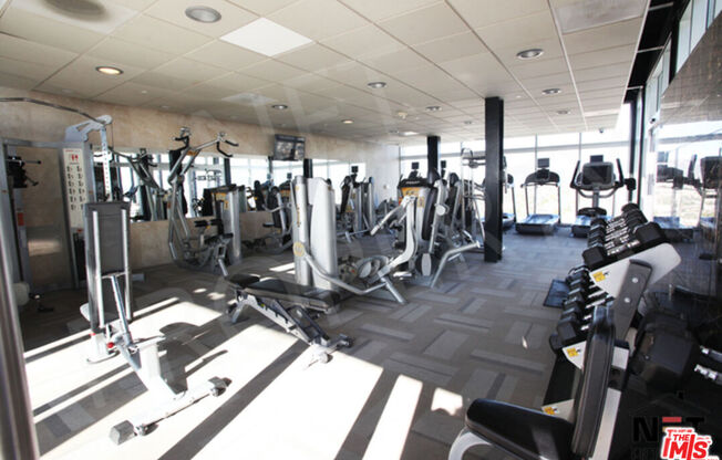 2 beds, 2 baths, 1,010 sqft, $3,100, Unit 1004