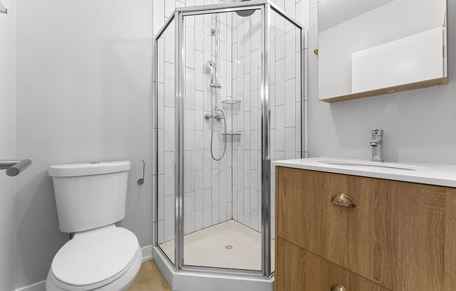 Studio, 1 bath, 245 sqft, $1,475, Unit 411
