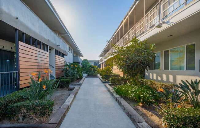 Welcome to Venice Dreams