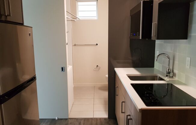 Studio, 1 bath, 244 sqft, $1,187, Unit 208