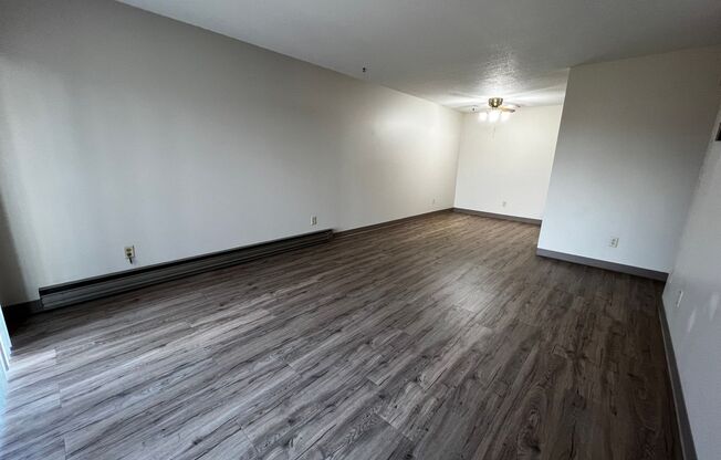 1 bed, 1 bath, 900 sqft, $700, Unit 303