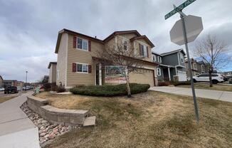 11704 BLACK MAPLE LN
