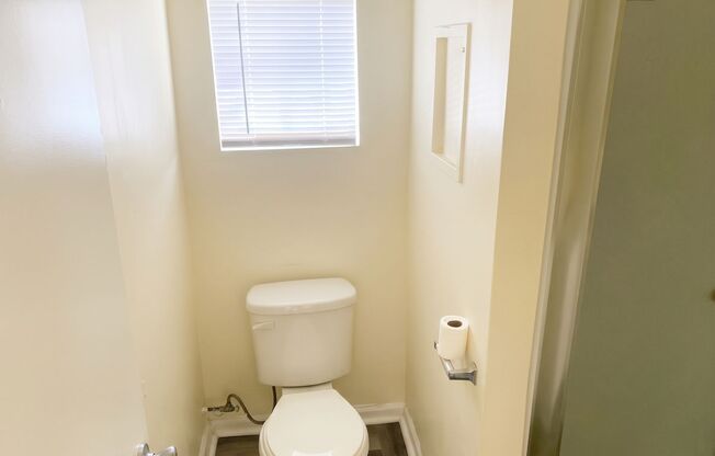 Studio, 1 bath, 350 sqft, $1,238, Unit C1