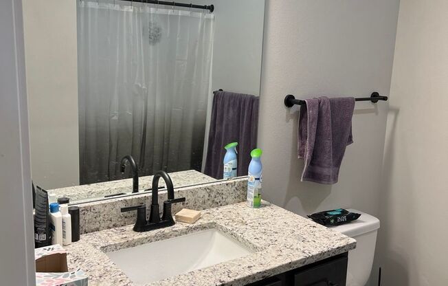 Studio, 1 bath, 507 sqft, $1,170, Unit 500-305