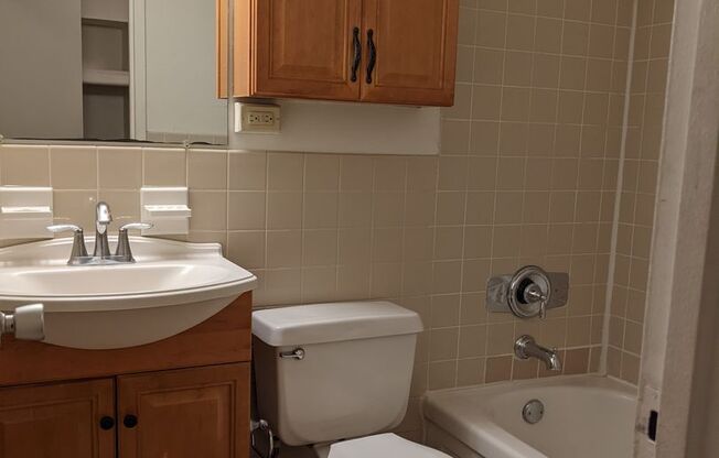 Studio, 1 bath, 431 sqft, $2,500, Unit 1203
