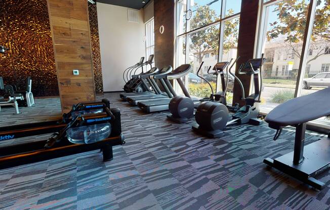 All your indoor cardio needs have been met