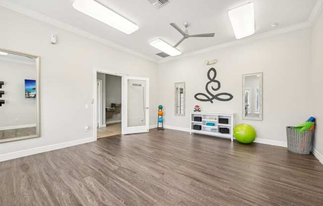 a living room with a large mirror and a toy ball