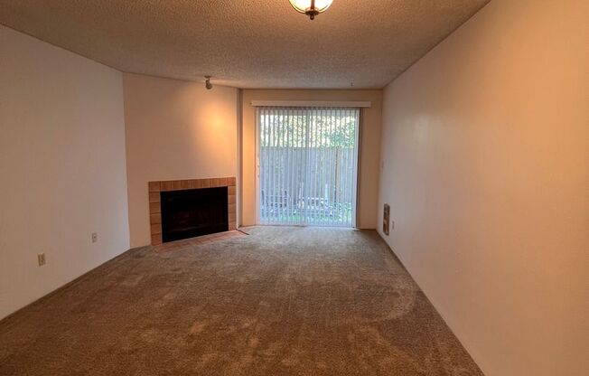 Mountain View Apartment