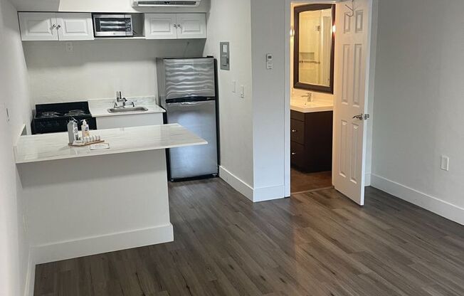 Studio, 1 bath, $2,100, Unit 2