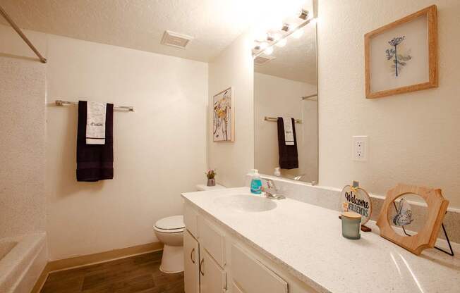 Bathroom at The View at Catalina Apartments in Tucson Arizona