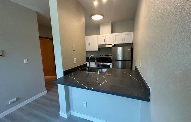 Newly remodeled 4-story Apartment Downtown Renton