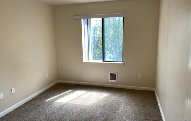 1 bed, 1 bath, 410 sqft, $1,450, Unit 311