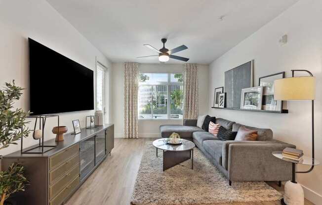 A living room with a grey couch, a black television, and a ceiling fan.