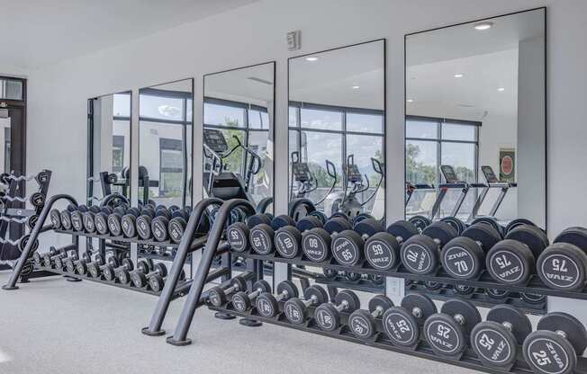A gym with a row of dumbbells and a mirrored wall.
