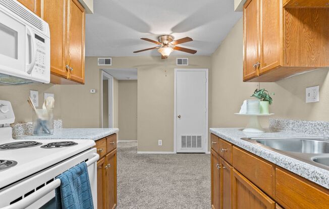 1 bed, 1 bath, 720 sqft, $899, Unit Apt 509