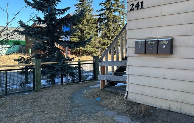 241 N Park Street - CDY