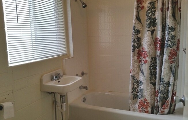 Studio, 1 bath, 450 sqft, $1,100, Unit #3