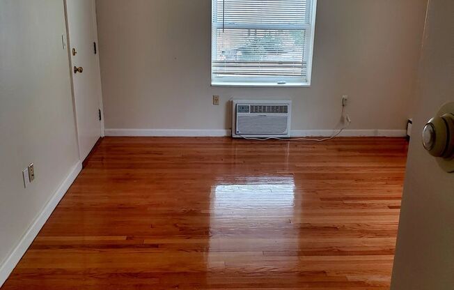 1 bed, 1 bath, 500 sqft, $2,300, Unit 36Big-04