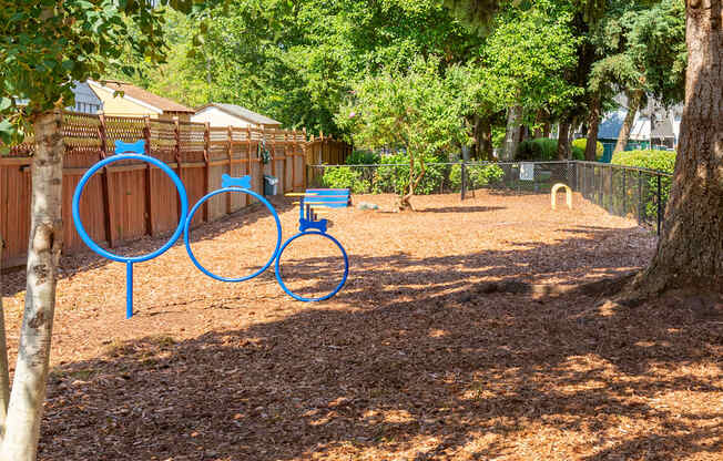 A playground with a blue circle drawn on the ground.