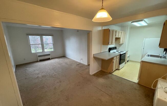 Chestnut Hills Apartments!