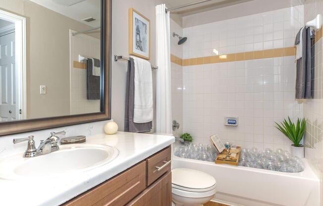 A clean and modern bathroom featuring a bathtub with decorative stones, a showerhead, and a towel rack. A wall mirror reflects the space, and a small potted plant adds a touch of greenery. The countertop has a circular decoration, and there's a door leading to another room visible in the background.