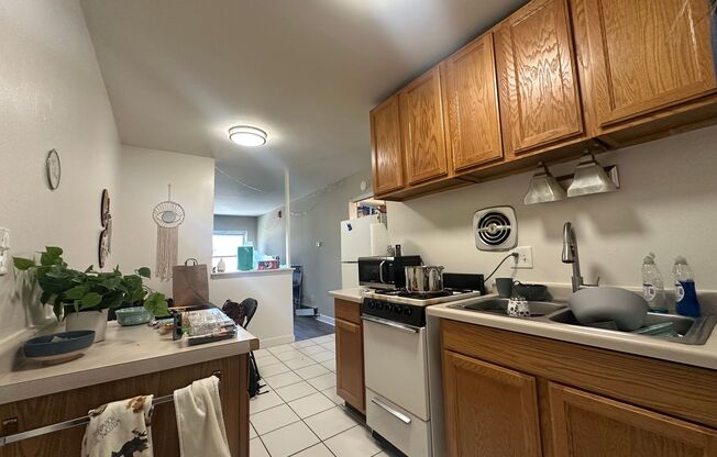 1 bed, 1 bath, $1,195, Unit 309