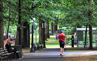 JEANNE MANOR APARTMENTS (JEAN01)